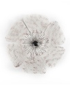 X78567 (1).jpg